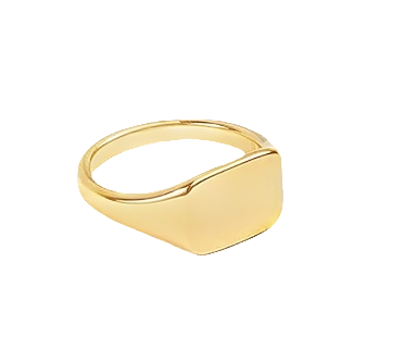 Teall Gold Simple Rectangular Signet Ring