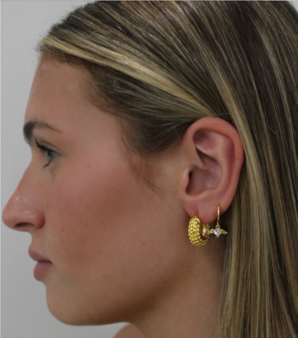 Teall Gold Hoop Earrings with Gold Wing and Clear Gemstone Detailing l Hypoallergenic